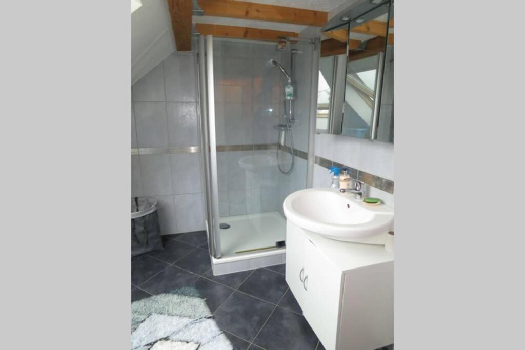 Ferienwohnung Roswitha In Blieskastel Biesingen Екстер'єр фото